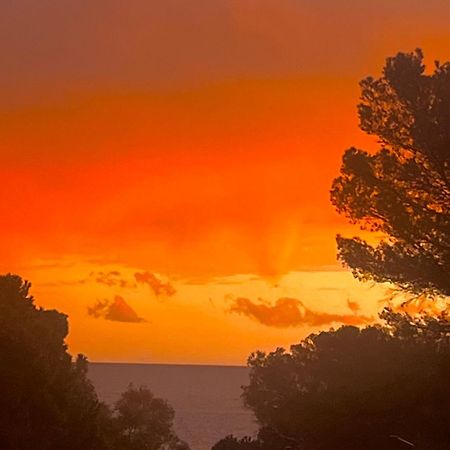 סן טרופז Maison Classee Sur Le Golfe De St Tropez מראה חיצוני תמונה