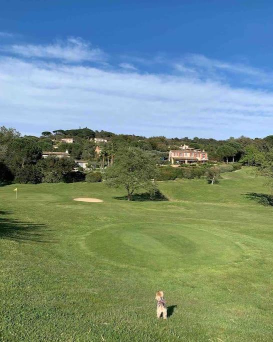 סן טרופז Maison Classee Sur Le Golfe De St Tropez מראה חיצוני תמונה